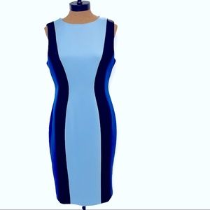 Calvin Klein Sleeveless Sheath Dress  Sz 12